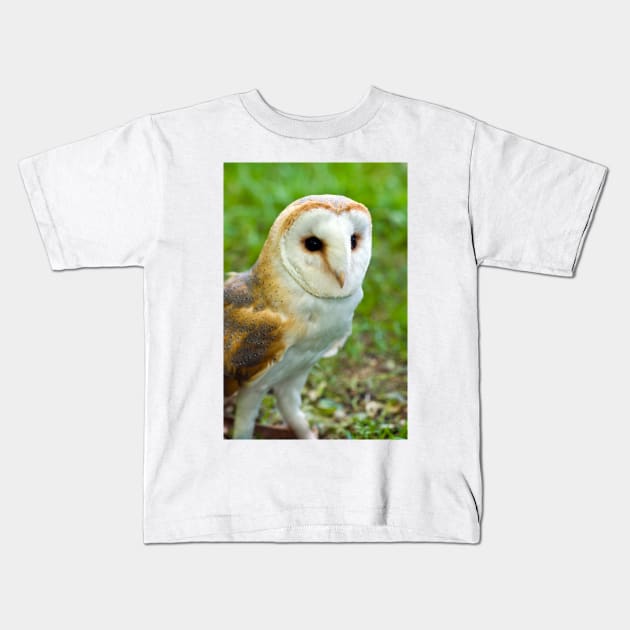 Barn Owl Kids T-Shirt by JeanKellyPhoto